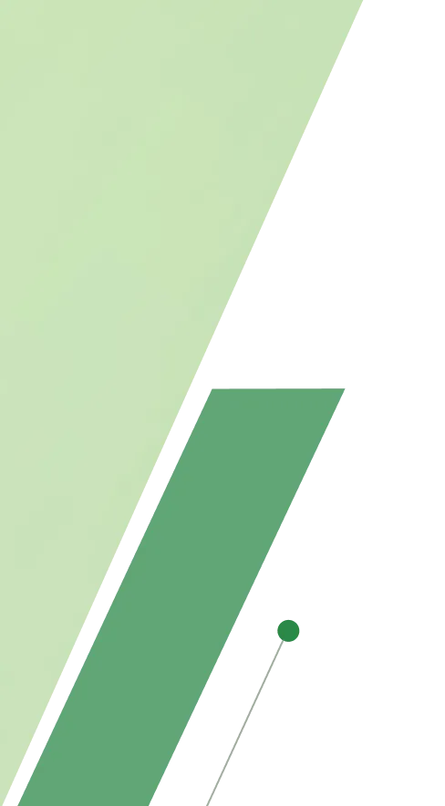 image of green doted frame